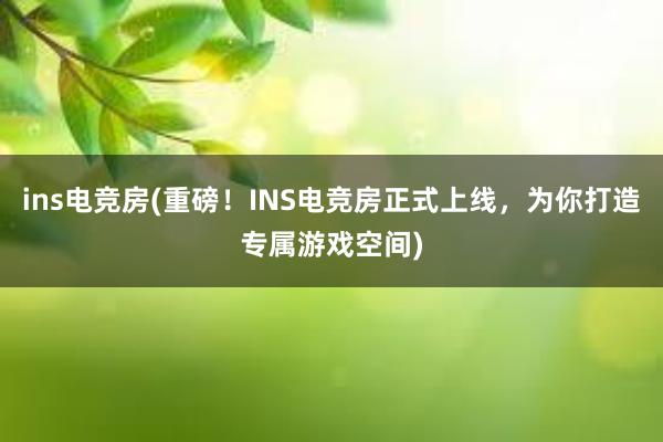 ins电竞房(重磅！INS电竞房正式上线，为你打造专属游戏空间)