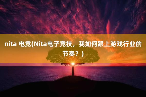 nita 电竞(Nita电子竞技，我如何跟上游戏行业的节奏？)