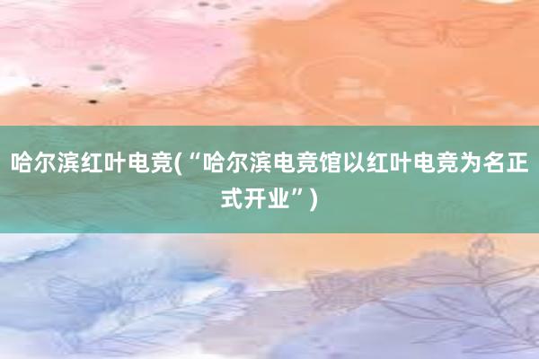 哈尔滨红叶电竞(“哈尔滨电竞馆以红叶电竞为名正式开业”)