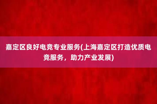 嘉定区良好电竞专业服务(上海嘉定区打造优质电竞服务，助力产业发展)