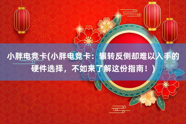 小胖电竞卡(小胖电竞卡：辗转反侧却难以入手的硬件选择，不如来了解这份指南！)