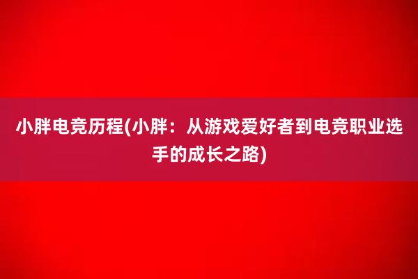 小胖电竞历程(小胖：从游戏爱好者到电竞职业选手的成长之路)