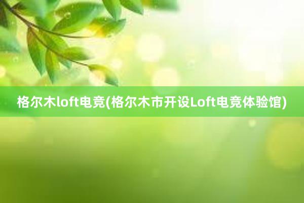 格尔木loft电竞(格尔木市开设Loft电竞体验馆)