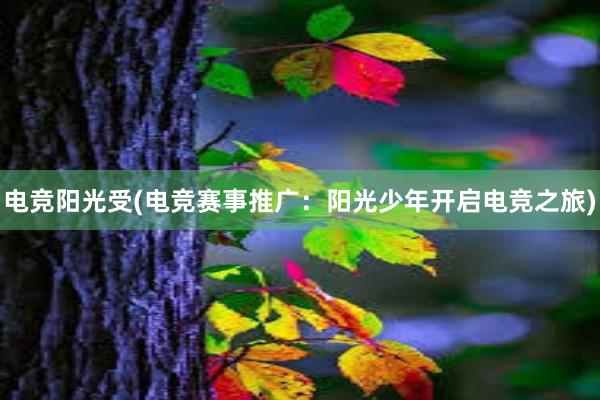 电竞阳光受(电竞赛事推广：阳光少年开启电竞之旅)