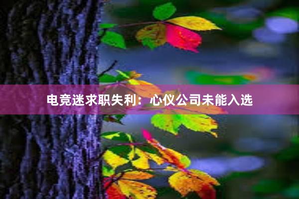 电竞迷求职失利：心仪公司未能入选